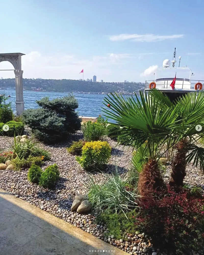 Boğaz kıyısı kaya bahçesi — Abelia Botanik peyzaj projesi