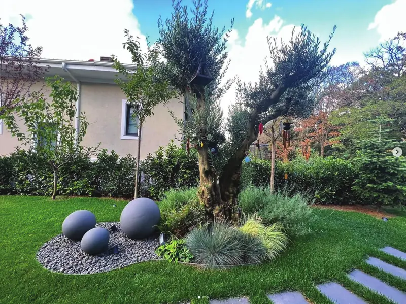 Asırlık zeytin ağacı, taş küreler ve çim